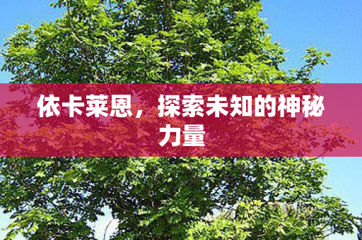 探索未知的神秘力量图片