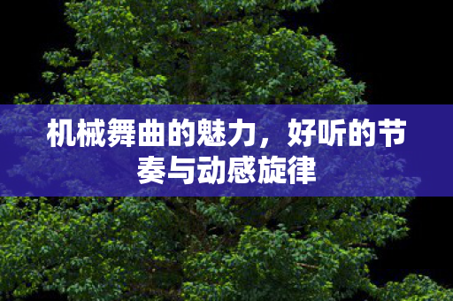 好听的节奏与动感旋律图片