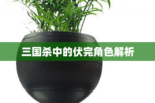 三国杀中的伏完角色解析图片