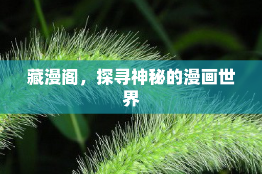 探寻神秘的漫画世界图片