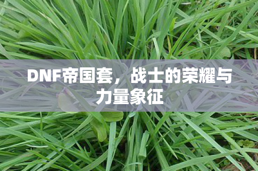 战士的荣耀与力量象征图片