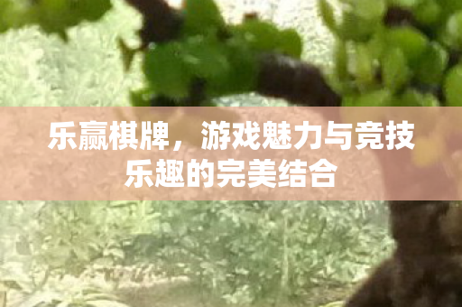 游戏魅力与竞技乐趣的完美结合图片