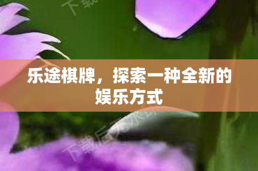 探索一种全新的娱乐方式图片