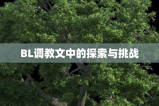BL调教文中的探索与挑战图片