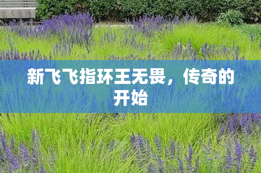 新飞飞指环王无畏图片