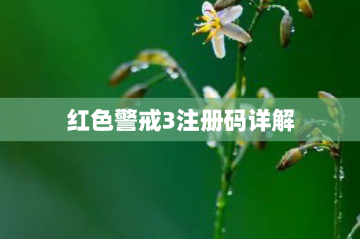 红色警戒3注册码详解图片