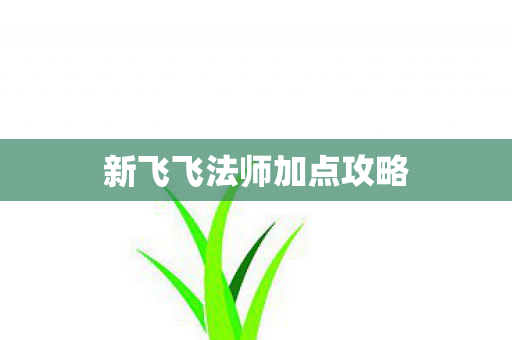 新飞飞法师加点攻略 新飞飞法师加点攻略