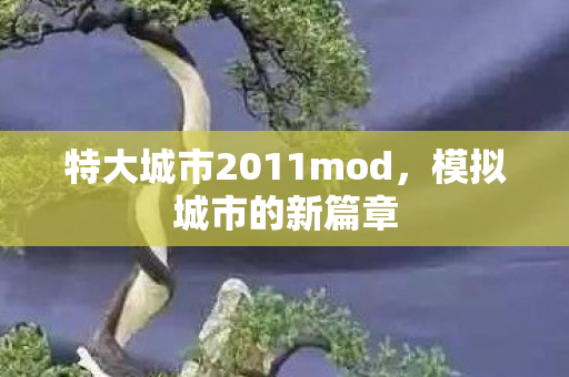 特大城市2011mod图片