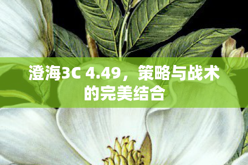 策略与战术的完美结合图片