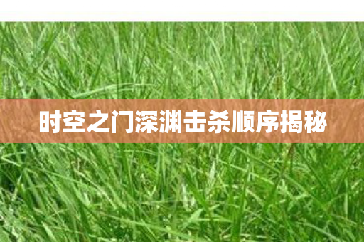 时空之门深渊击杀顺序揭秘图片
