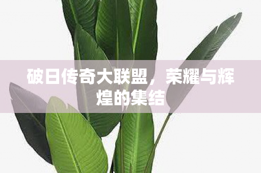 荣耀与辉煌的集结图片
