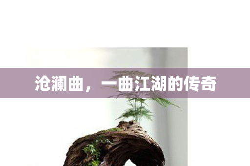 一曲江湖的传奇图片