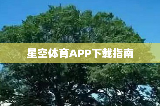 星空体育APP下载指南图片