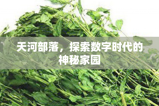 探索数字时代的神秘家园图片