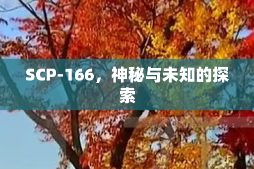 神秘与未知的探索图片
