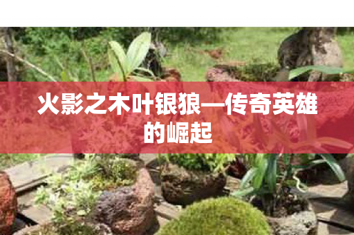 火影之木叶银狼图片