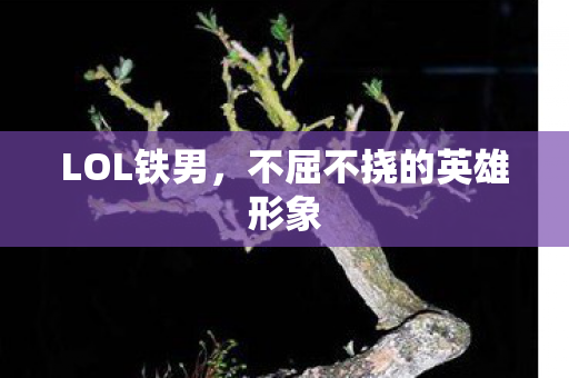 不屈不挠的英雄形象图片