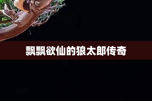 飘飘欲仙的狼太郎传奇图片