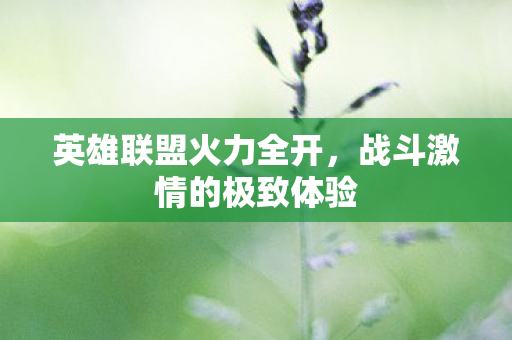 战斗激情的极致体验图片