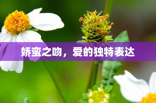 爱的独特表达图片