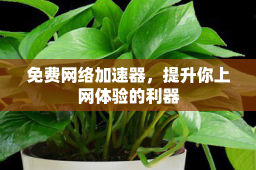 提升你上网体验的利器图片
