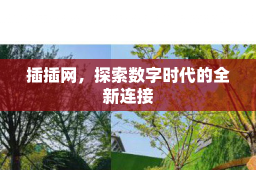 探索数字时代的全新连接图片