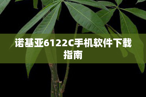 诺基亚6122C手机软件下载指南图片