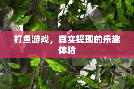 打鱼游戏,真实提现的乐趣体验 打鱼游戏,真实提现的乐趣体验