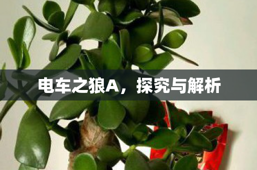 电车之狼A图片