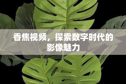 探索数字时代的影像魅力图片