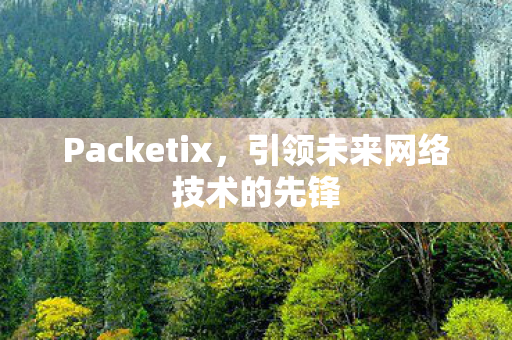 引领未来网络技术的先锋图片