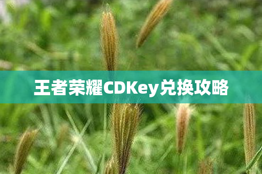 王者荣耀CDKey兑换攻略图片