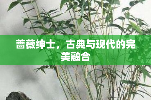 古典与现代的完美融合图片