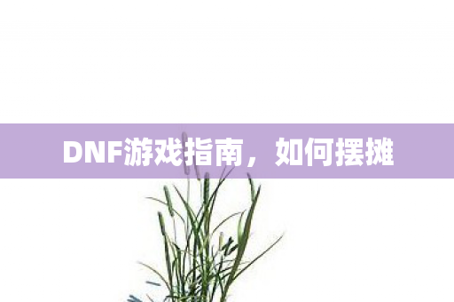 DNF游戏指南图片