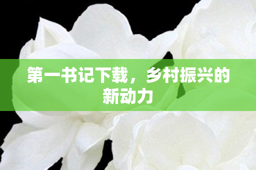 第一书记下载,乡村振兴的新动力 第一书记下载,乡村振兴的新动力