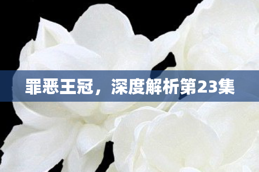深度解析第23集图片