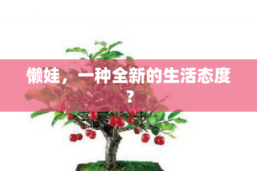 一种全新的生活态度图片