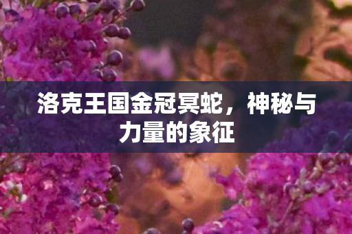 洛克王国金冠冥蛇图片
