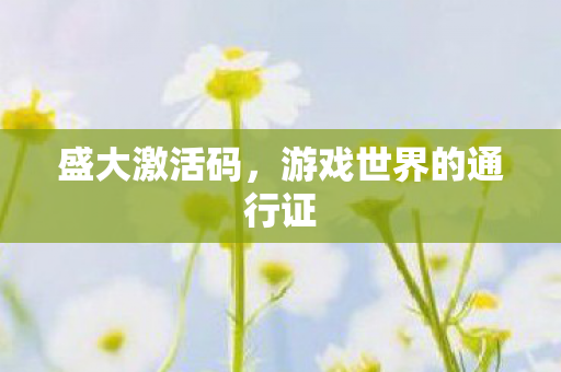 游戏世界的通行证图片
