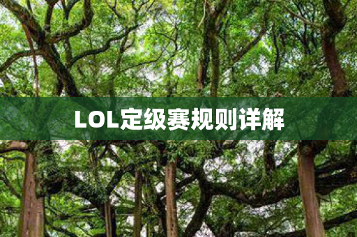LOL定级赛规则详解图片