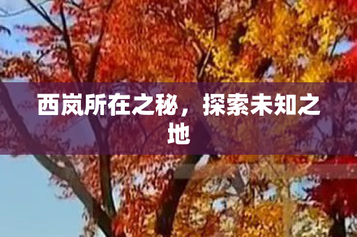 西岚所在之秘图片