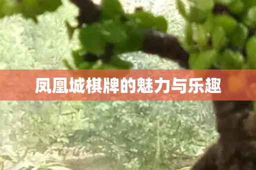 凤凰城棋牌的魅力与乐趣图片