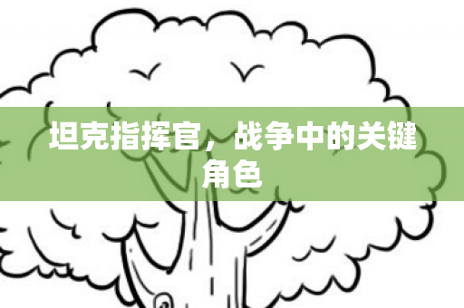 战争中的关键角色图片