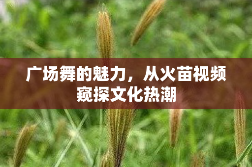 从火苗视频窥探文化热潮图片