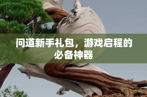 游戏启程的必备神器图片