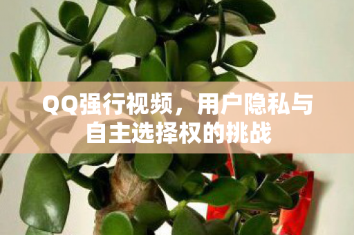 用户隐私与自主选择权的挑战图片