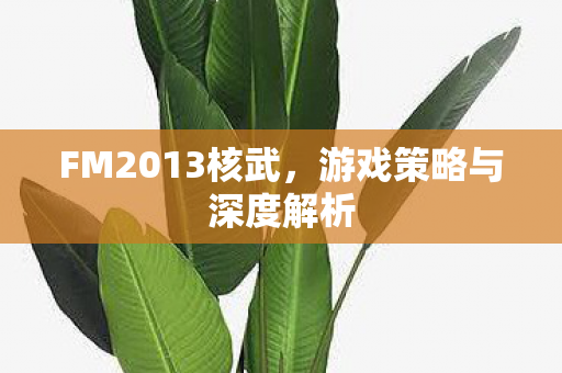 游戏策略与深度解析图片
