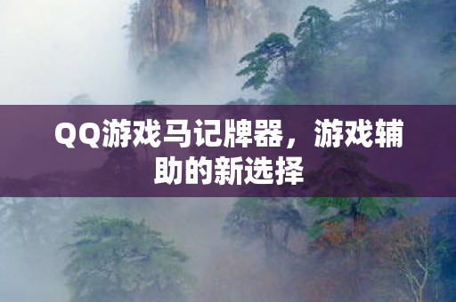QQ游戏马记牌器图片