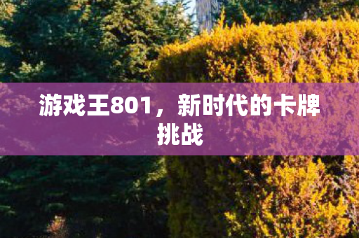 新时代的卡牌挑战图片