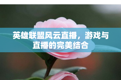 游戏与直播的完美结合图片